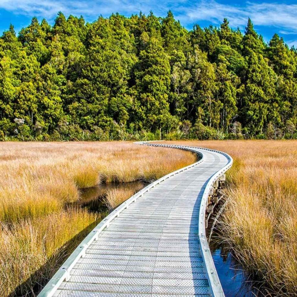Image of boardwalk depicting a road to recovery for recovery counselling.